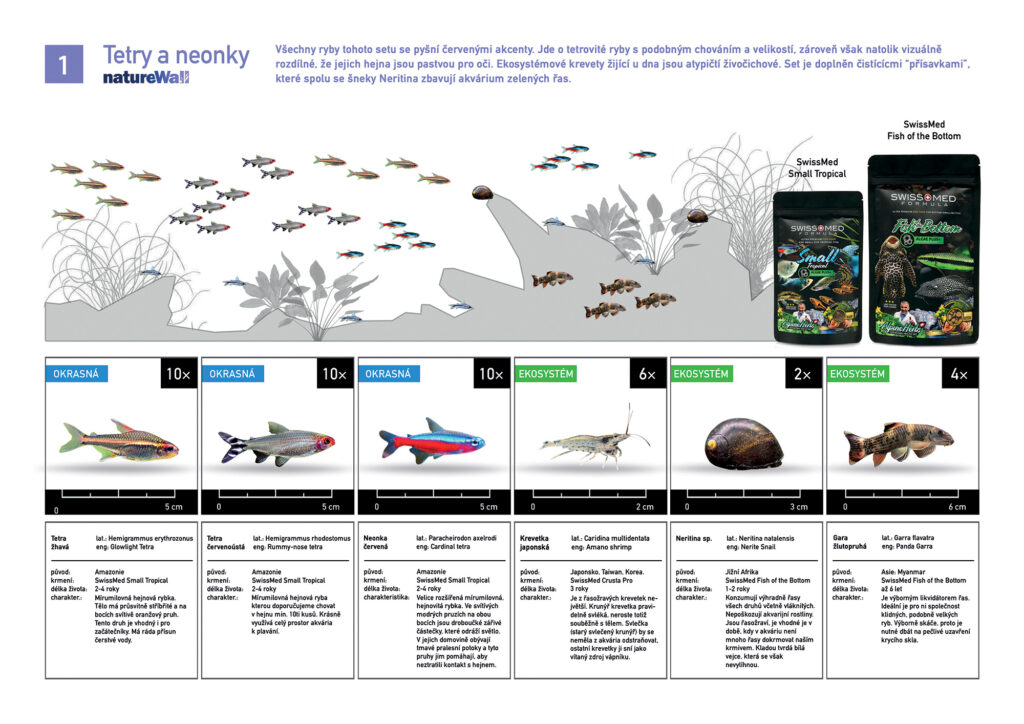 Set ryb pro natureWall Tetry a neonky