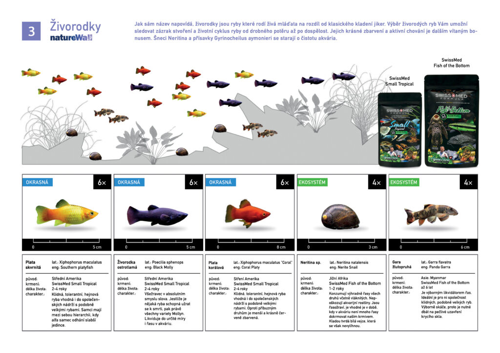 Set ryb pro natureWall Živorodky