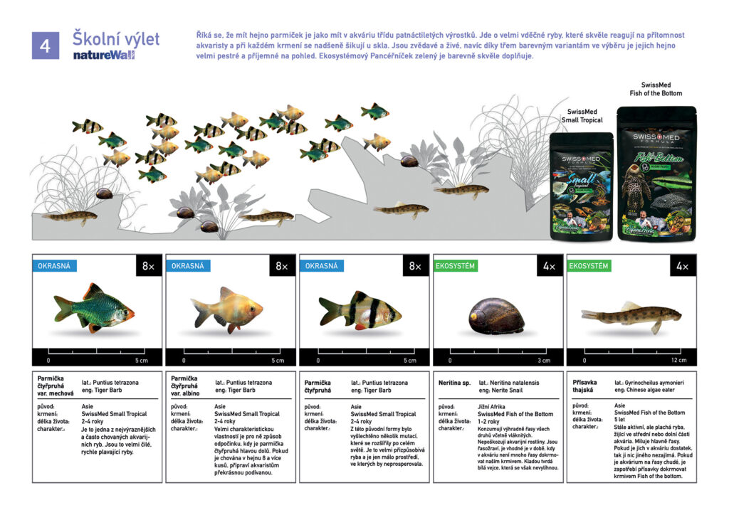 Set ryb pro natureWall Školní výlet